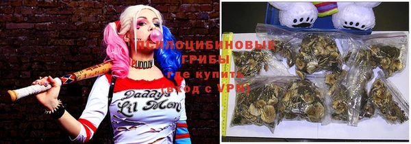 тгк Абаза