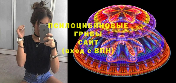 тгк Абаза