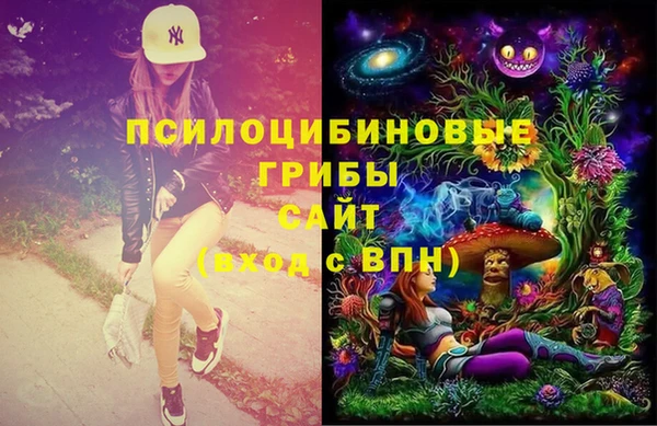 СК Абдулино