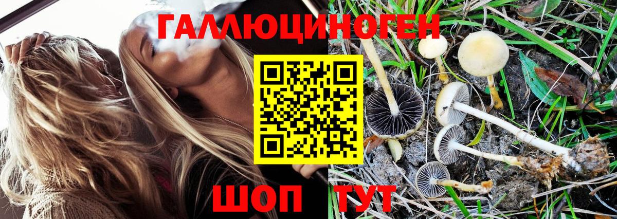 Псилоцибиновые грибы GOLDEN TEACHER Нефтеюганск